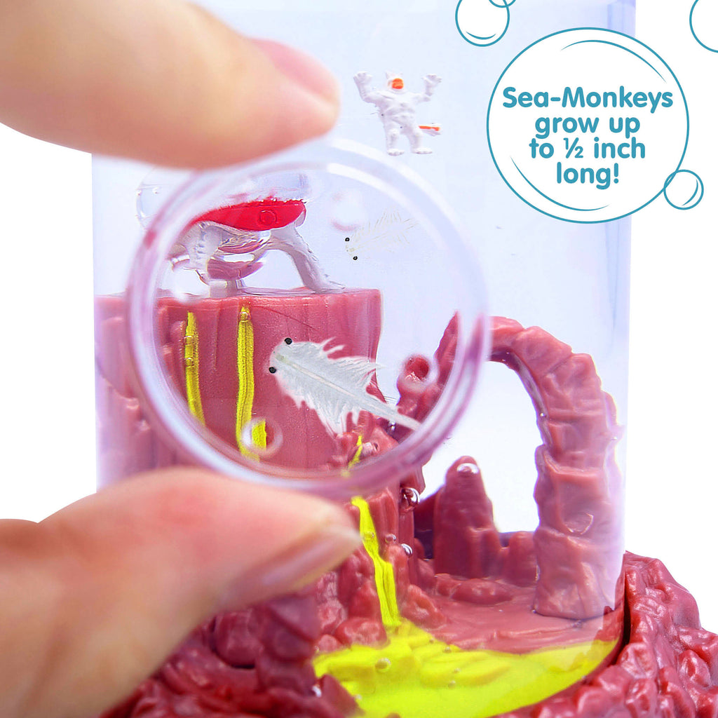 Sea-Monkeys On Mars